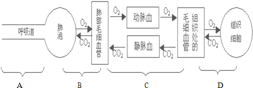 使呼吸过程中的___环节出现问题造成(选 填呼吸过程的四环节,用"字母"