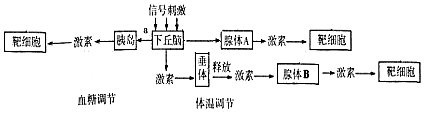 作业帮