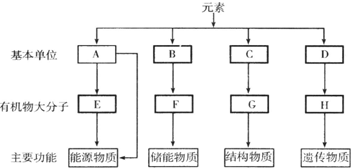 作业帮