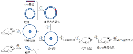 作业帮