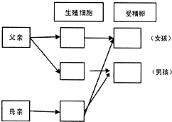 作业帮