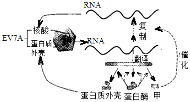 作业帮