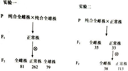 作业帮