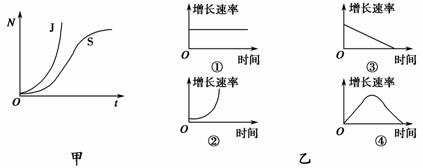 下图甲为种群数量增长的 "j" 形, "s" 形曲线,图乙是