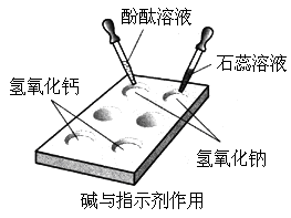 (1) 如图所示,在白色点滴板上进行实验,并观察现象.