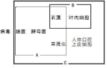 作业帮