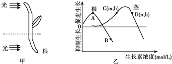 作业帮