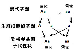 作业帮