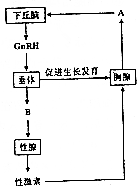 作业帮