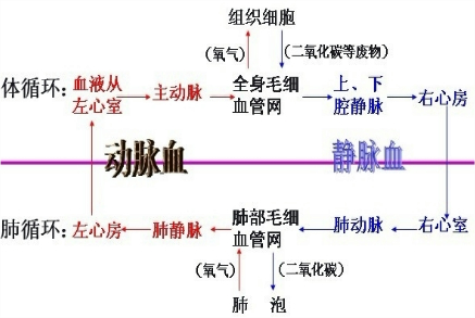 作业帮