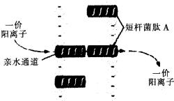 作业帮