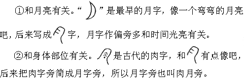 你知道月字旁的字和什么有关吗?