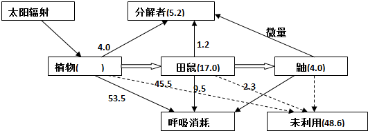 作业帮