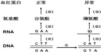 作业帮