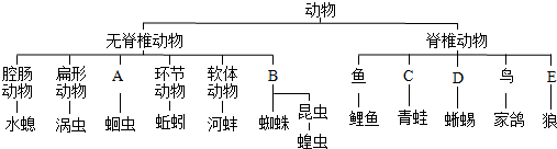 作业帮