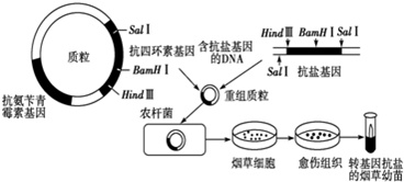 作业帮