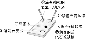 将一大烧杯倒扣在点滴板上,点滴板上所放物质如图所示,下列对有关实验