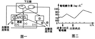 作业帮