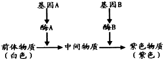 作业帮