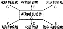 作业帮