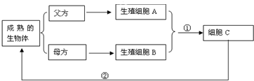 作业帮