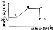 作业帮