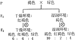 作业帮