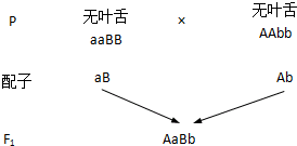 作业帮