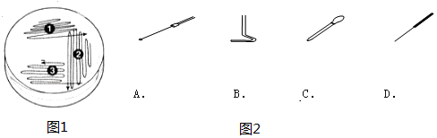 作业帮