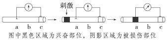 作业帮