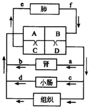 作业帮