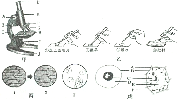 作业帮