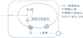 作业帮