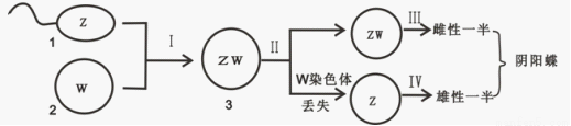 满分5 manfen5.com