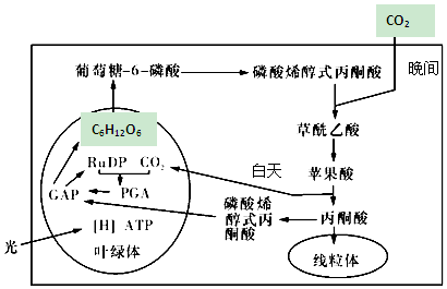 作业帮