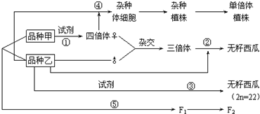 作业帮