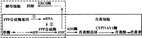 作业帮