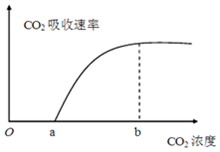 作业帮