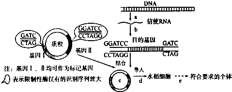 作业帮