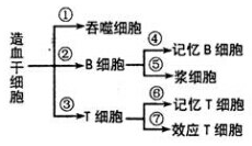 作业帮