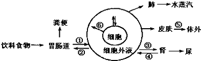 作业帮