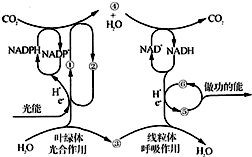 作业帮