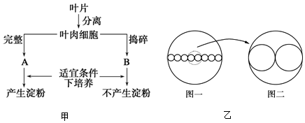 作业帮