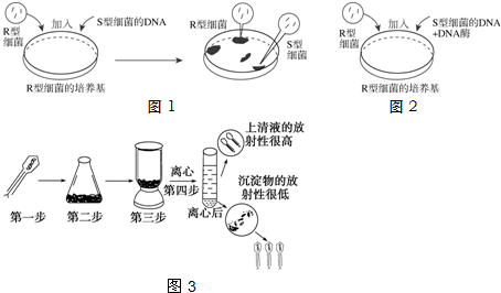 作业帮