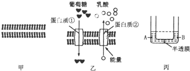 作业帮