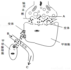 作业帮