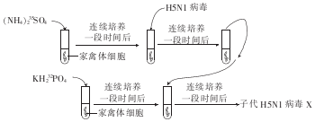 作业帮