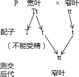 作业帮