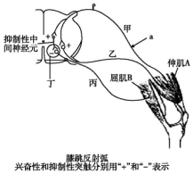 作业帮