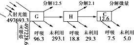 作业帮